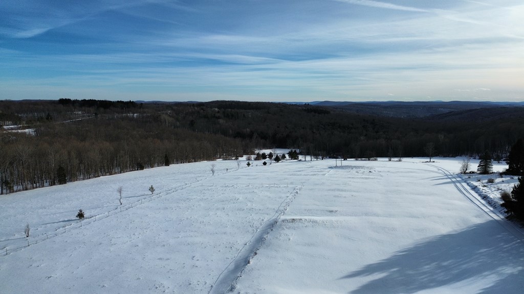 45 Kronus Road, Erin, New York image 24