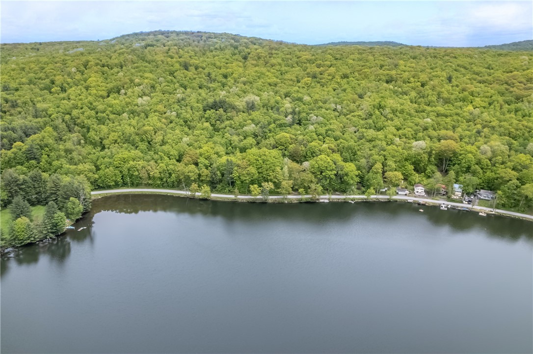 2712 Silver Lake Road, Hancock, New York image 24