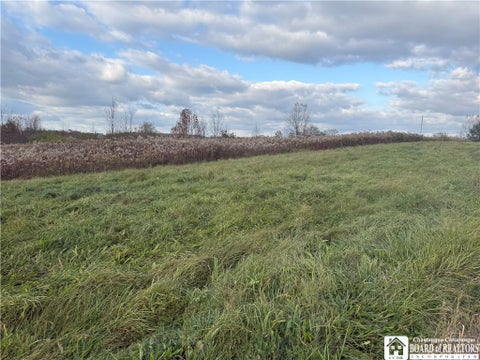 Tiny photo for Steele Avenue, Arcade, NY 14009 (MLS # R1724345)