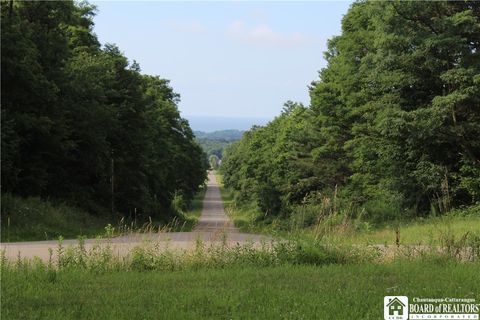 Vacant Land For Sale - Woleben Road<br/> Portland, NY 14769