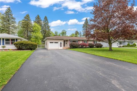33 loderdale road rochester ny 14624