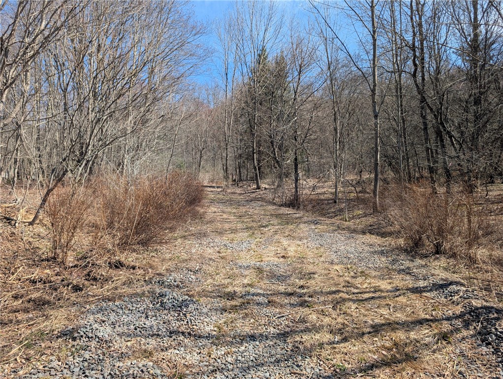 State highway 28
