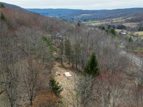 Vacant Land For Sale - State Highway 28<br/> Delaware County, Andes, NY 13731
