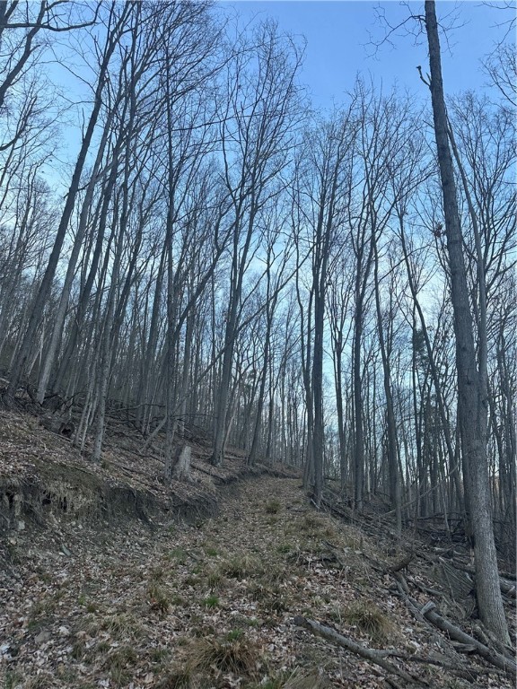 Markle Hollow Road, Big Flats, New York image 5