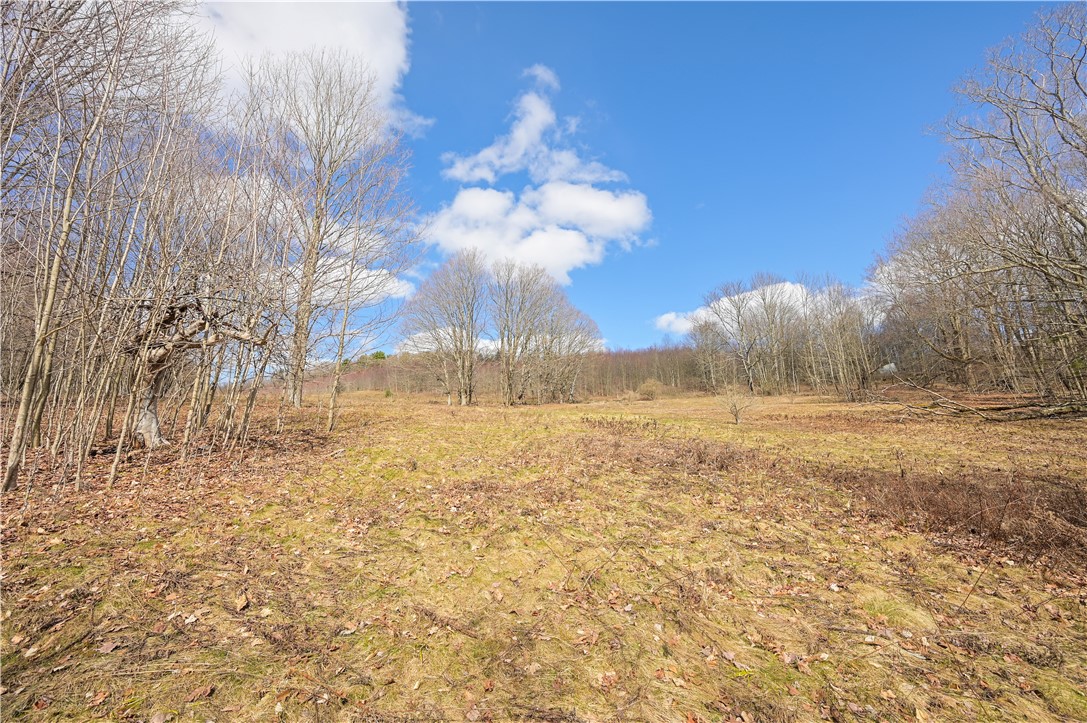 186 Chamberlin Road, Maryland, New York image 13