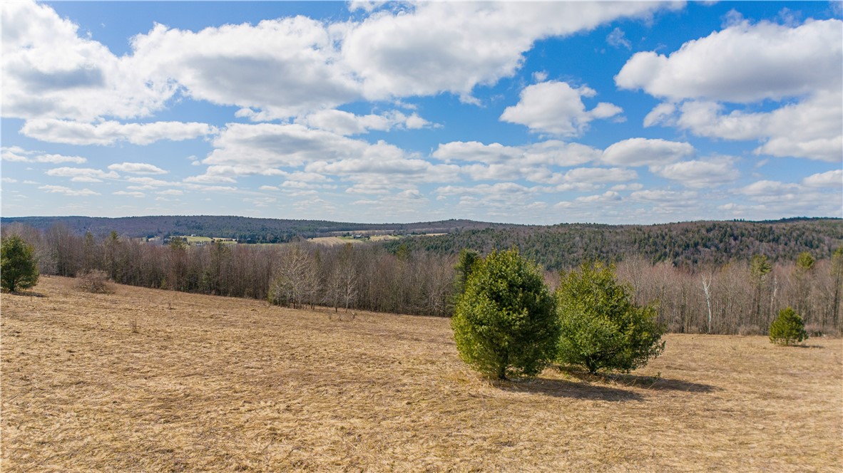 186 Chamberlin Road, Maryland, New York image 4