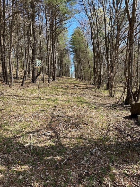 1251 County Highway 6, Otego, New York image 9