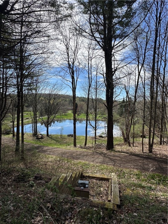 1251 County Highway 6, Otego, New York image 8