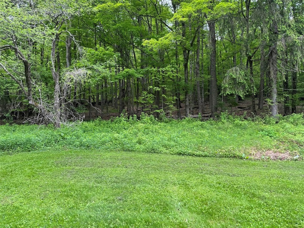 6641 Fall Clove Road, Andes, New York image 13