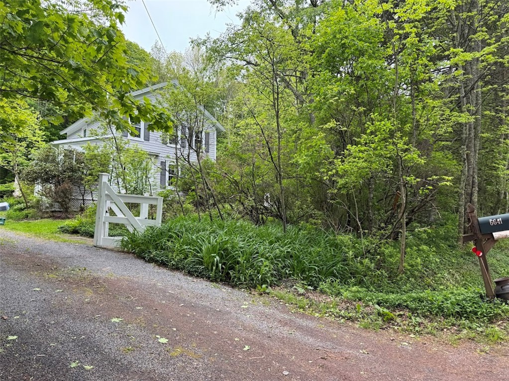 6641 Fall Clove Road, Andes, New York image 11