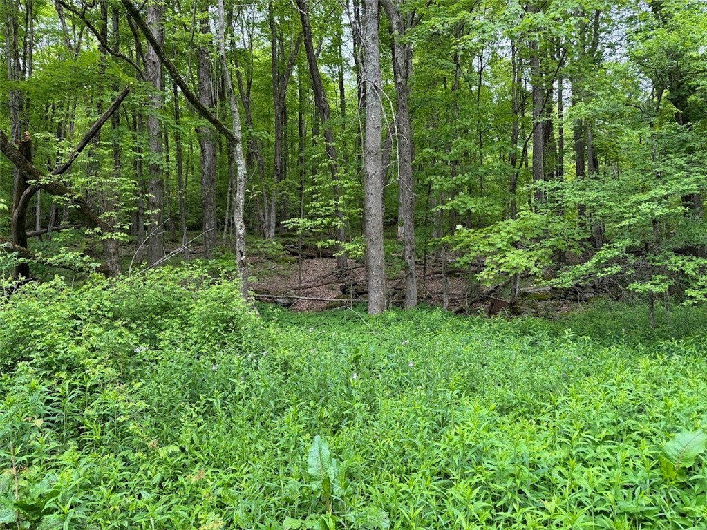 6641 Fall Clove Road, Andes, New York image 16