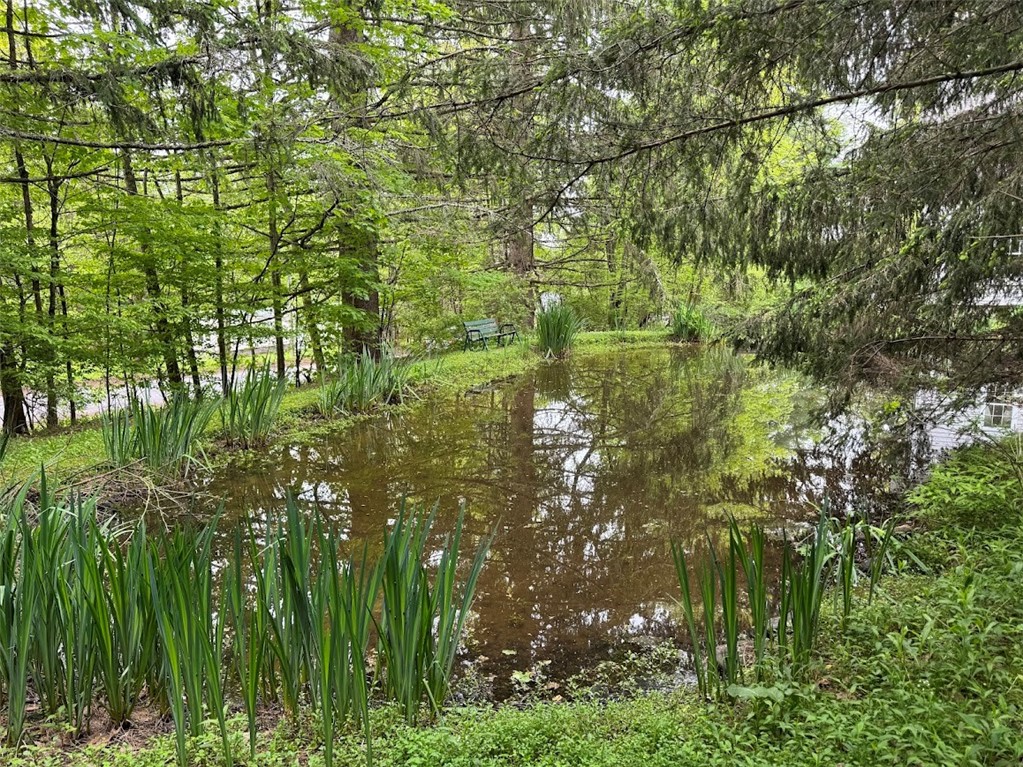 6641 Fall Clove Road, Andes, New York image 21