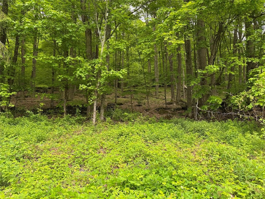 6641 Fall Clove Road, Andes, New York image 15