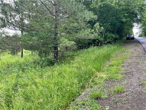 Vacant Land For Sale - Mary Brown Hill Road<br/> Laurens, NY 13796
