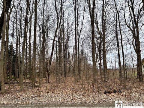 Photo for 00 Chestnut Road