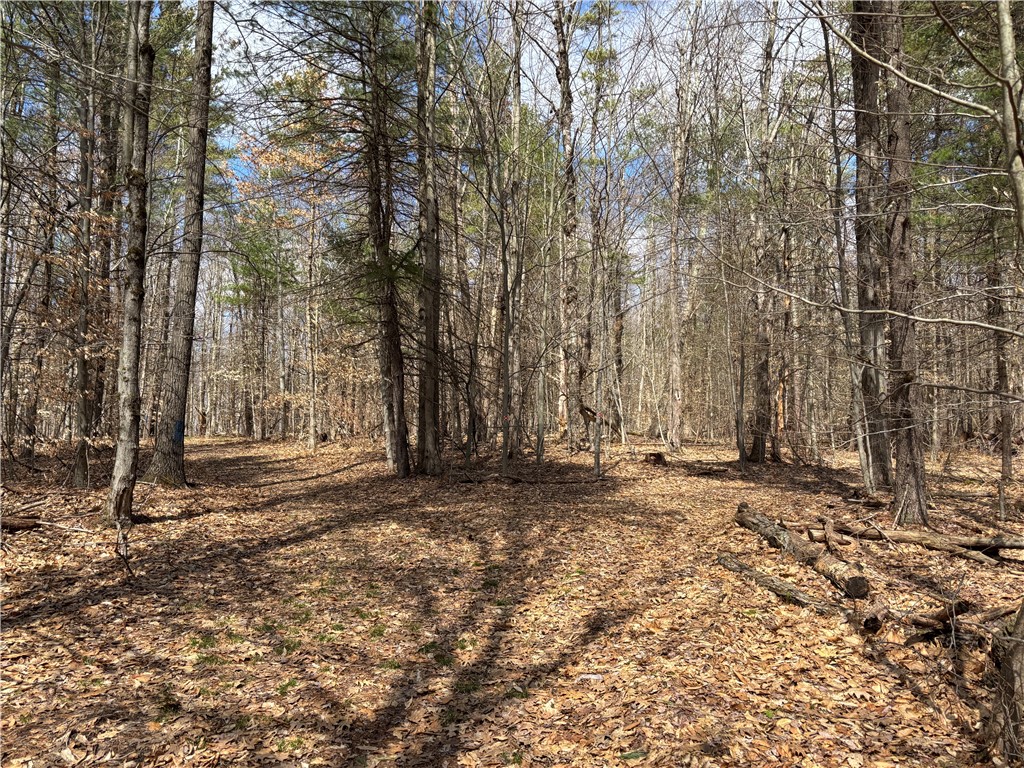 438 Ymca Road, Laurens, New York image 43