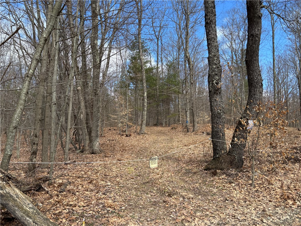 438 Ymca Road, Laurens, New York image 41