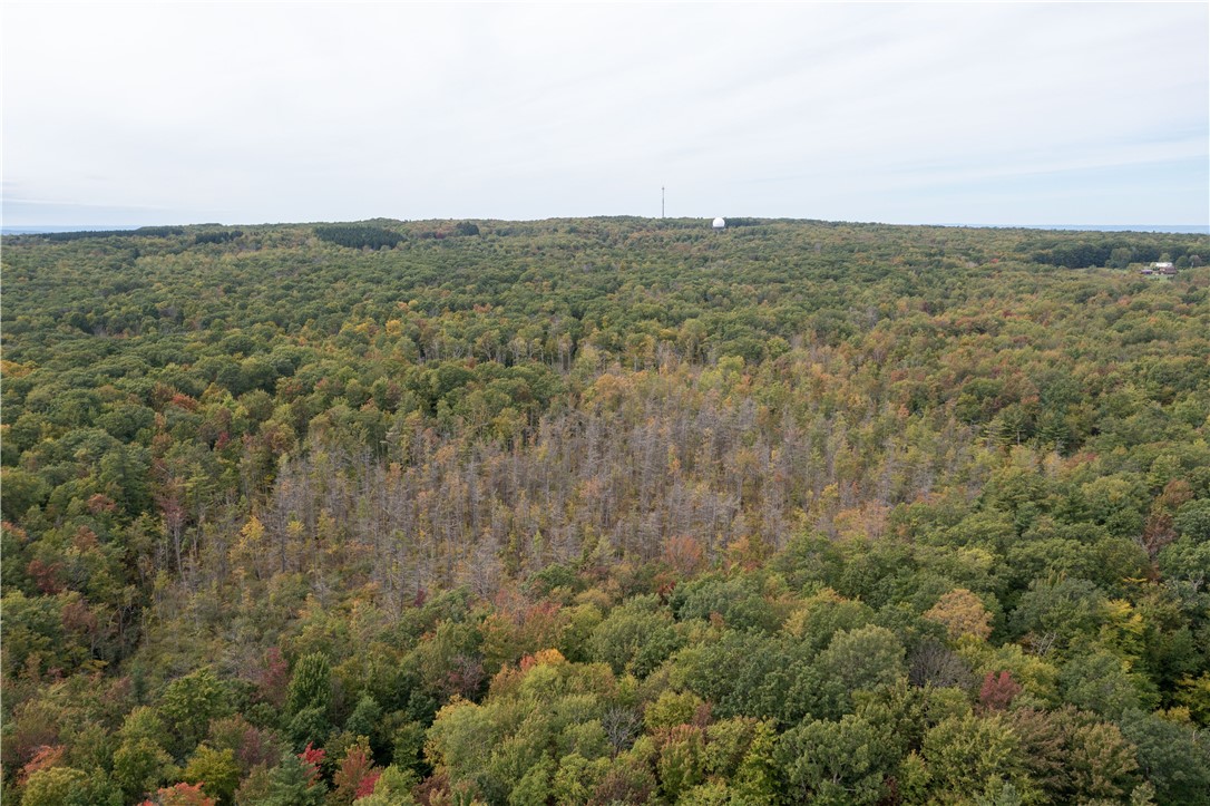 Chief Canesque Lane, Springwater, New York image 12