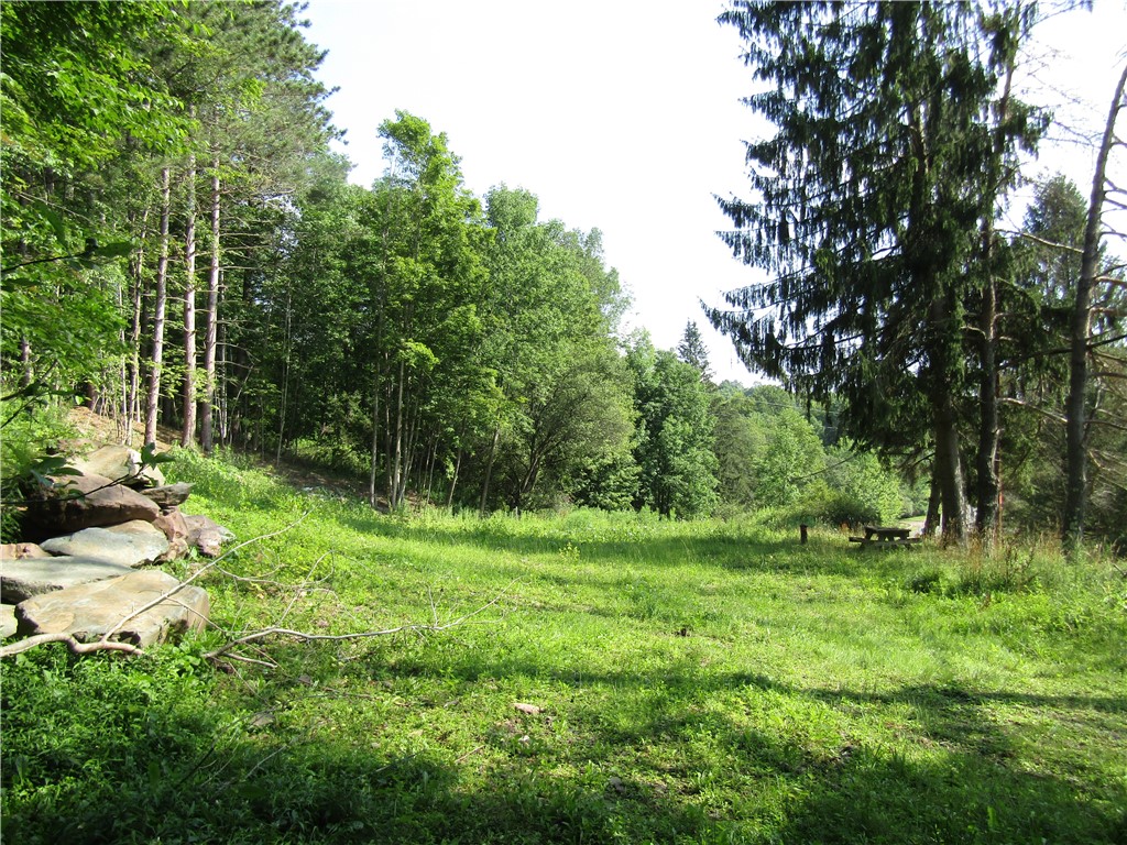 1265 Meeker Hollow Road