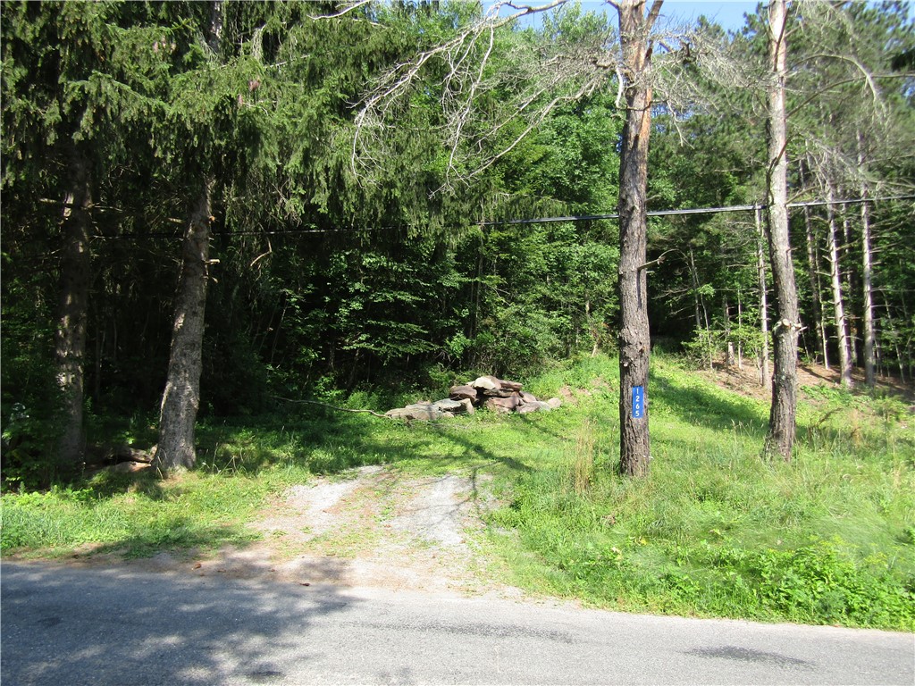 1265 Meeker Hollow Road