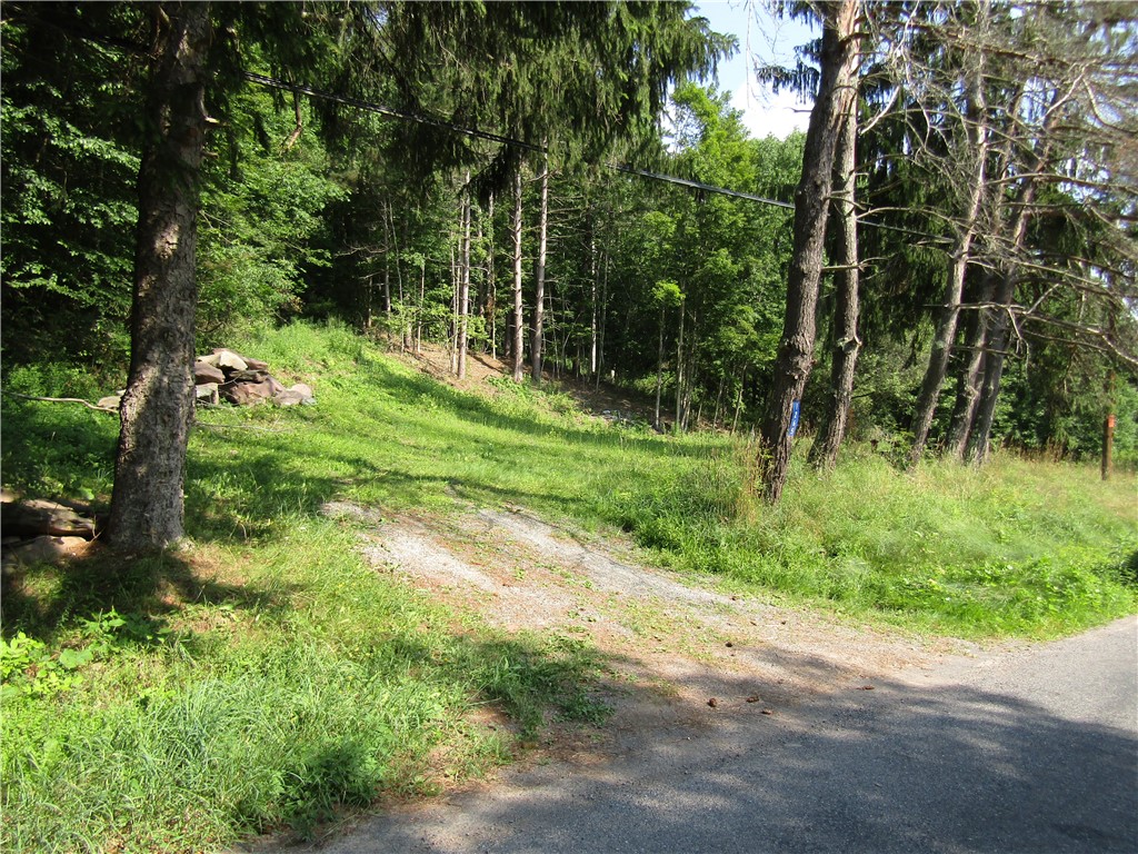 1265 Meeker Hollow Road