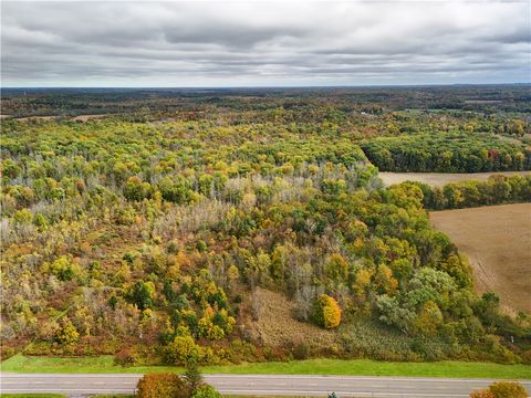 Vacant Land For Sale - 8096 104a<br/> Wayne County, Wolcott, NY 14590