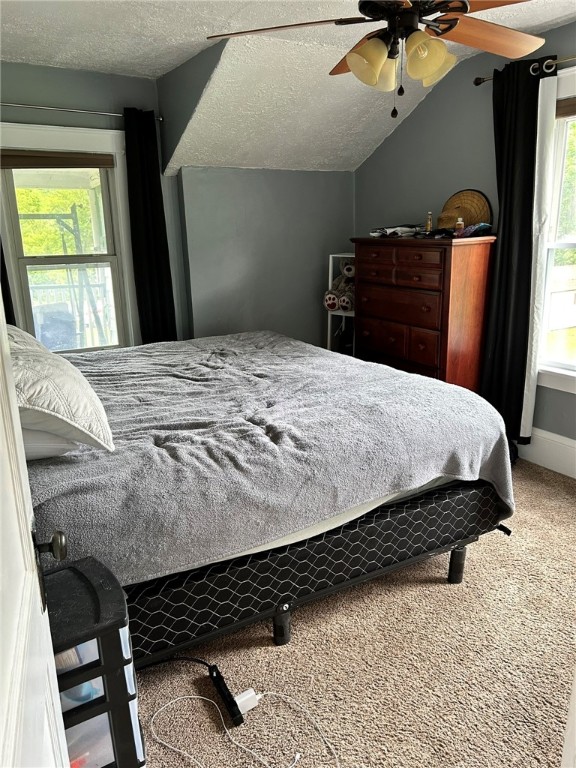 2287 State Route 352, Big Flats, New York image 10