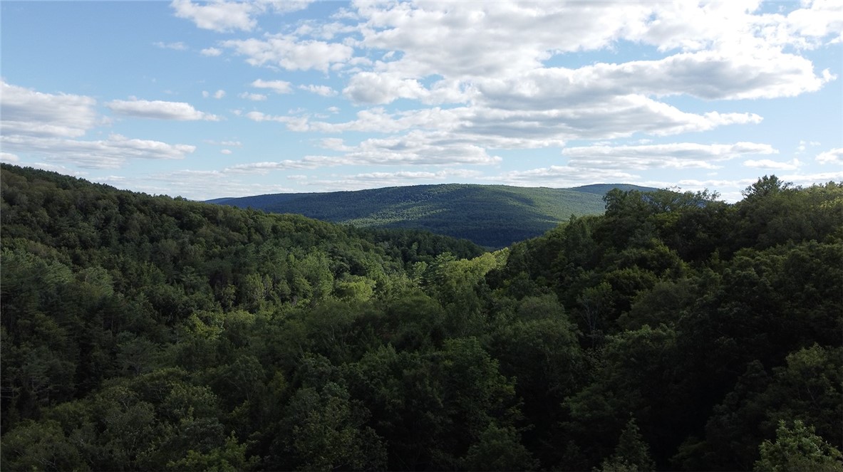 L15 Gorge Road, Middleburgh, New York image 17