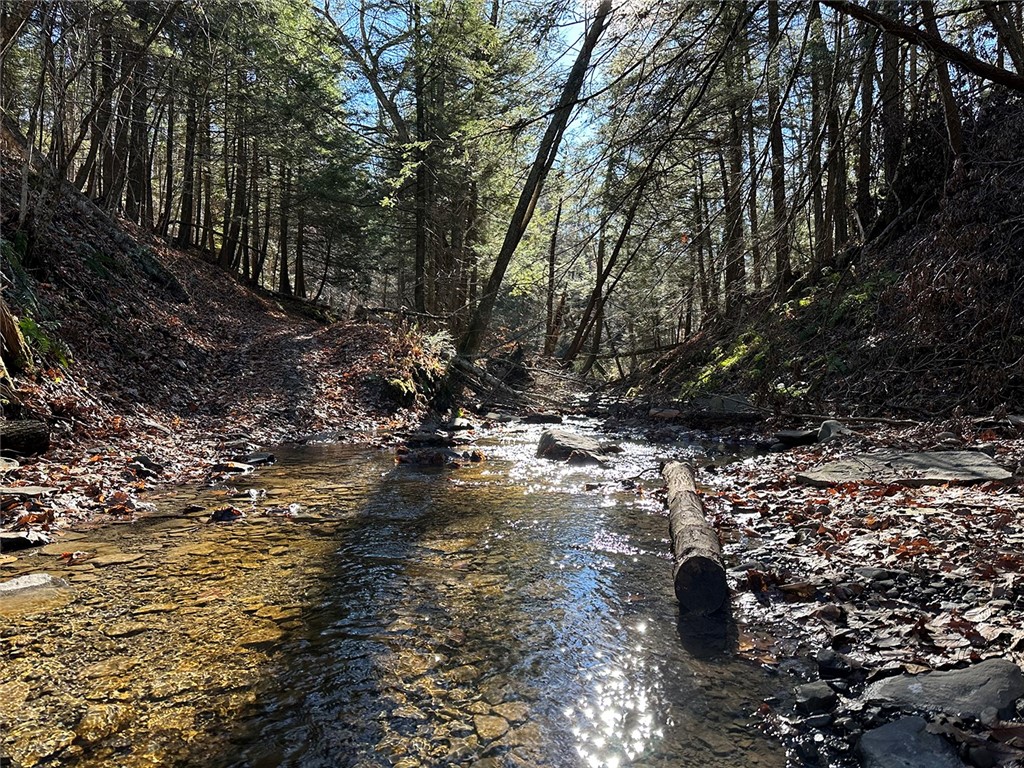 L15 Gorge Road, Middleburgh, New York image 3