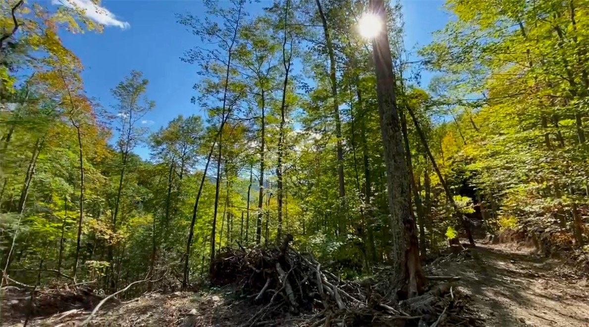 L15 Gorge Road, Middleburgh, New York image 9