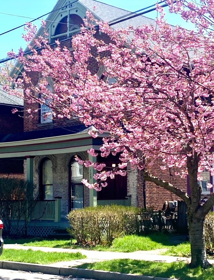 125 Gregory Street 127