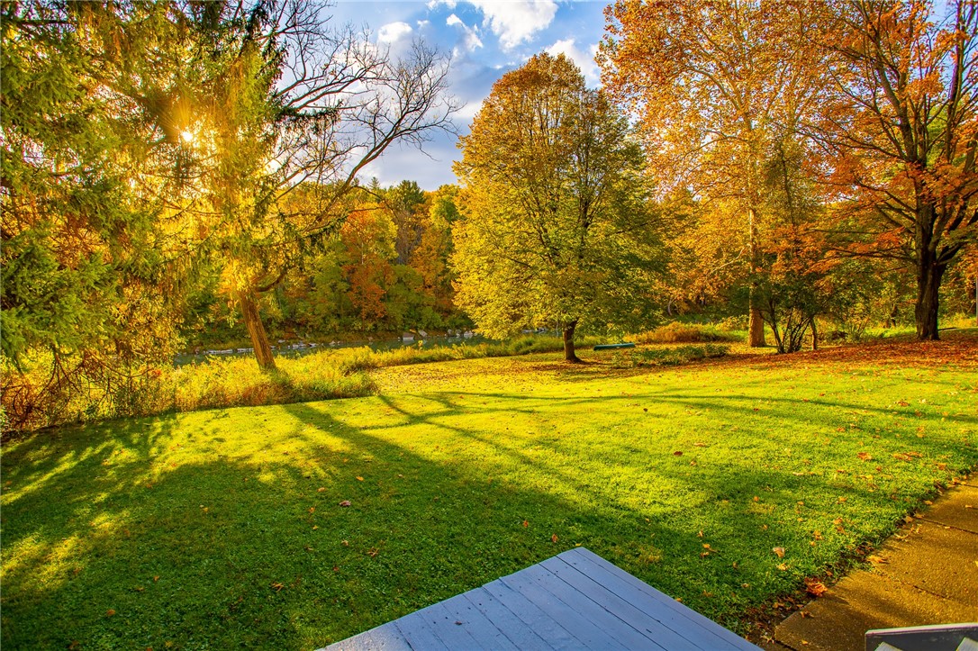 10372 Riverlawn Road, Hume, New York image 24