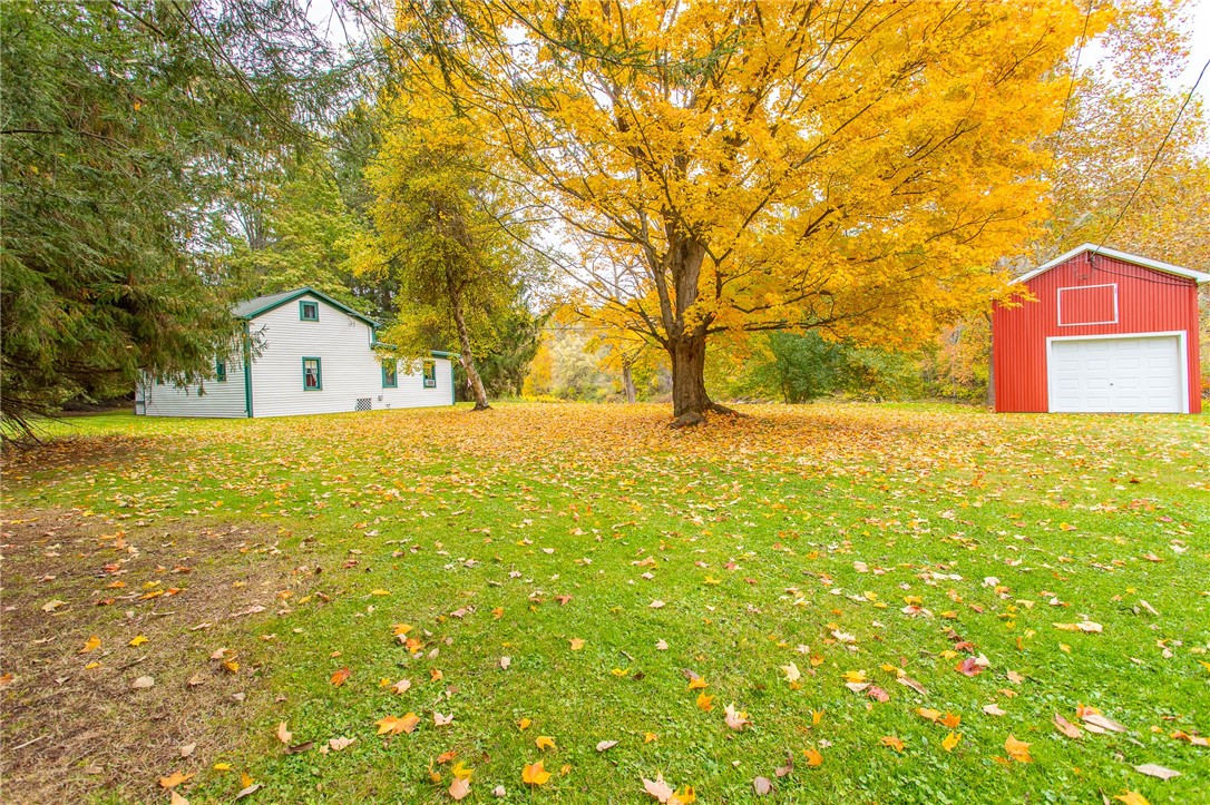10372 Riverlawn Road, Hume, New York image 5