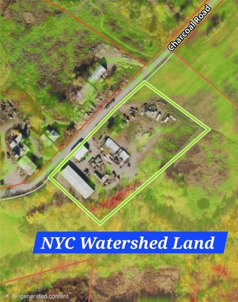 Tiny photo for 565 Charcoal Road, Roxbury, NY 12167 (MLS # R1654888)