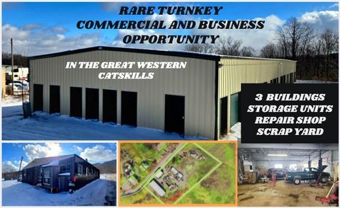 Photo of 565 Charcoal Road, Roxbury, NY 12167 (MLS # R1654888)