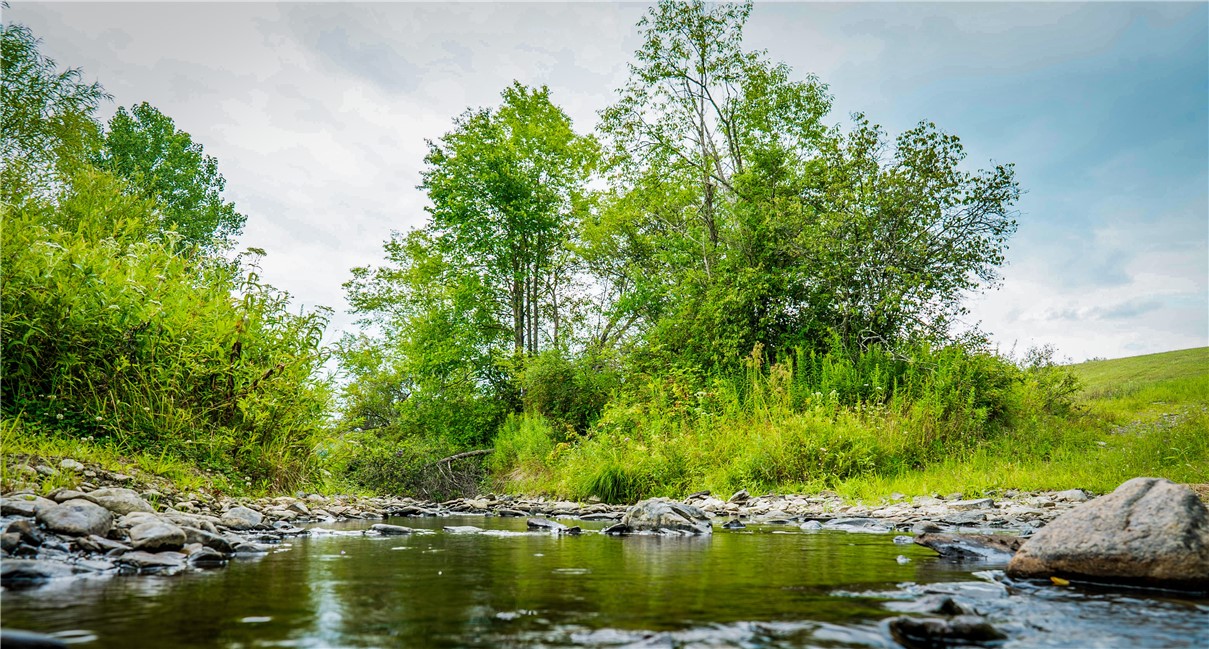 Lot 01 Wilson Creek Road, Berkshire, New York image 28