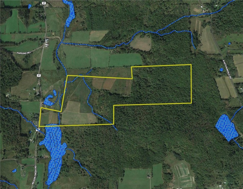 Lot 01 Wilson Creek Road, Berkshire, New York image 49