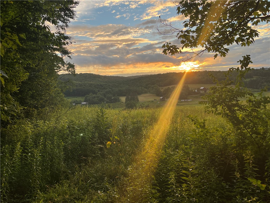 Lot 01 Wilson Creek Road, Berkshire, New York image 18