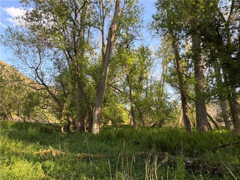 Tiny photo for WP Lot02 County Route 119, Canisteo, NY 14819 (MLS # R1690389)