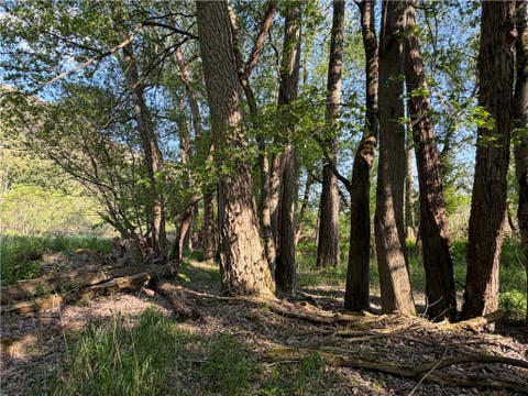Tiny photo for WP Lot02 County Route 119, Canisteo, NY 14819 (MLS # R1690389)