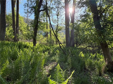 Tiny photo for WP Lot02 County Route 119, Canisteo, NY 14819 (MLS # R1690389)