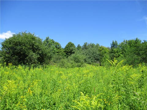 Tiny photo for 0 Daniels Road, Plymouth, NY 13844 (MLS # R1709265)