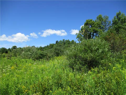 Tiny photo for 0 Daniels Road, Plymouth, NY 13844 (MLS # R1709265)