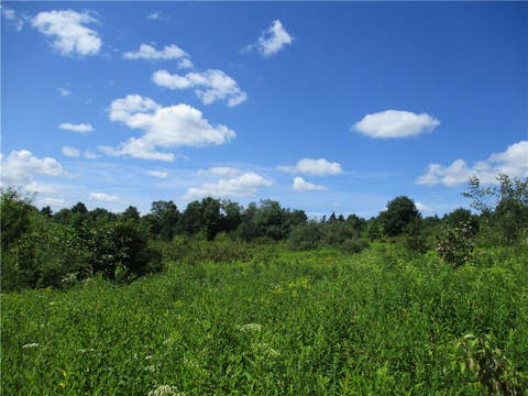 Tiny photo for 0 Daniels Road, Plymouth, NY 13844 (MLS # R1709265)