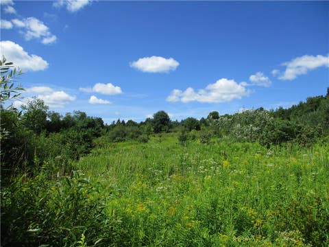 Tiny photo for 0 Daniels Road, Plymouth, NY 13844 (MLS # R1709265)