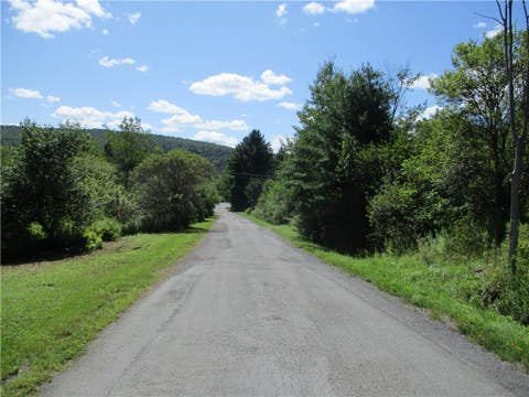 Tiny photo for 0 Daniels Road, Plymouth, NY 13844 (MLS # R1709265)