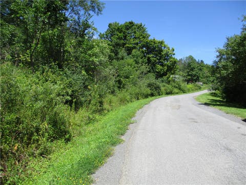 Tiny photo for 0 Daniels Road, Plymouth, NY 13844 (MLS # R1709265)