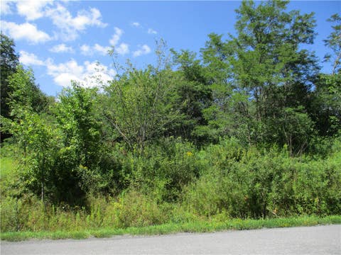 Photo of 0 Daniels Road, Plymouth, NY 13844 (MLS # R1709265)