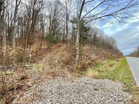 Photo for Dansville Mount Morris Road