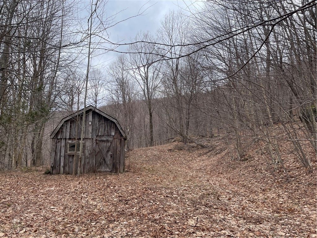 Photo of 4-11 West Highland Road, Stamford, NY 12167 (MLS # R1678553)